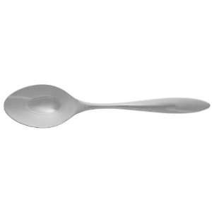  Nambe Glacier (Stainless) Solid Serving Spoon, Sterling 