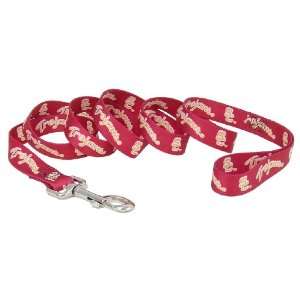 University of Southern California Small Dog Leash   6 ft. with a 5/8 