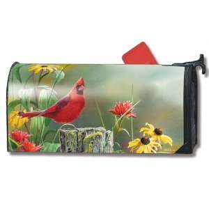  MailWraps Magnetic Mailbox Cover   Summer Cardinal