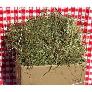   10 lb 1st Cut Timothy WITH CLOVER Rabbit and Bunny Hay