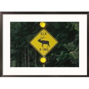  Worlds first elk activated crosswalk sign in Sequim 