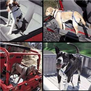 The Buckle Up Pup Harness System (Small Blue)