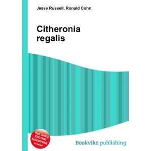  Citheronia regalis Ronald Cohn Jesse Russell Books