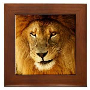  Framed Tile Male Lion Smirk 
