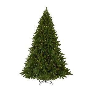  7 American Fir with Clear Lights