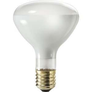  500 Watt R40 Philips Reflector Flood Light Bulb