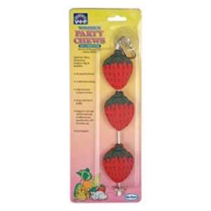  Votoy Shish Kebab With Wooden Fruit Chews Asst Sports 
