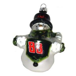  Nascar 88 Dale Earnhardt Jr.   2009 Snowman Collectible 