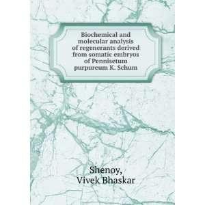   embryos of Pennisetum purpureum K. Schum Vivek Bhaskar Shenoy Books