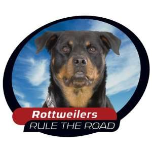  Rottweiler One Way Vision Window Covering Pet Tatz 