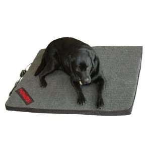  Thermotex Infrared Heated Therapeutic Pet Bed Pet 