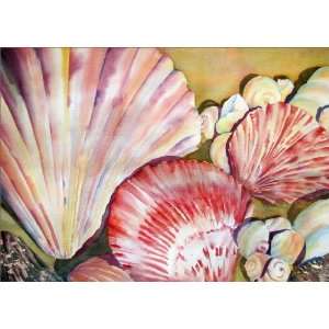  Seashells   100 Cards 