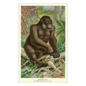  Gorilla Premium Giclee Poster Print, 18x24