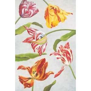  Tulip Fantasy I by David Hwang. Size 30 inches width by 
