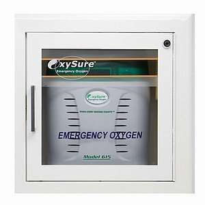   Systems Surface Mounted Wall Box for Model 615 Emergency Oxygen System