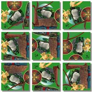  IRISH HERITAGE Scramble Squares by b.Dazzle Toys & Games