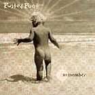Remember by Rusted Root (CD, Mar 2003,