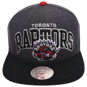  Toronto Raptors Mitchell & Ness Block Snapback Cap Hat 