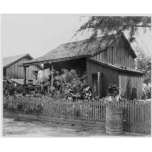  Small house,Las Sabanas, Panama,[between 1900 and 1910 