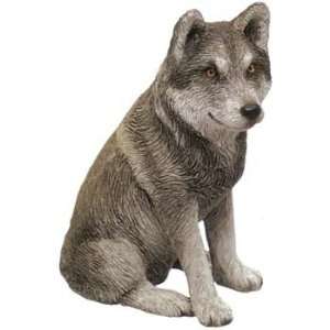  Wolf   Mexican   Mid Size 