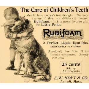1895 Ad Liquid Dentifrice Rubifoam Tooth Powder Hoyt   Original Print 