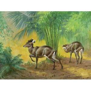  This Painting Depicts Michies Tufted Deer in a Forest 