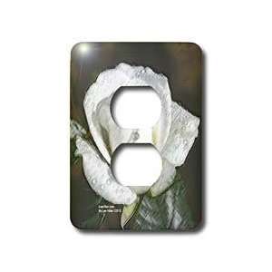 Lee Hiller Designs Roses   White Rose Dew Drops   Light Switch Covers 