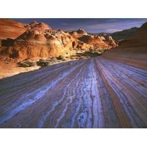  Sandstone slickrock on Colorado Plateau, Vermilion Cliffs 