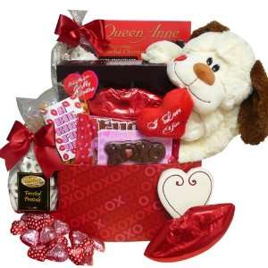   Big Kiss For You Plush Puppy Care Package Gift Box   Valentines Day