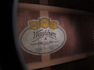 Washburn D10SB Acoustic Guitar  