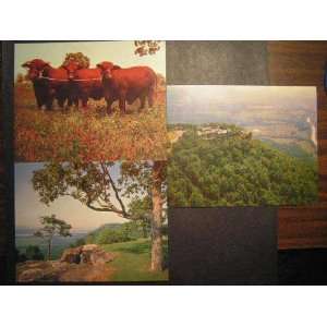  3 Giant 5x7 Winrock Farms, Morrilton Arkansas Postcards 