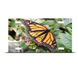  Butterfly Butterflies Novelty Airbrushed Metal License 