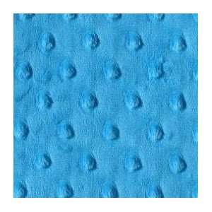  Minky Dot Fabric   Turquoise Arts, Crafts & Sewing