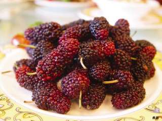 wholesale 1000 g dry mulberry / mulberries fruit berry  