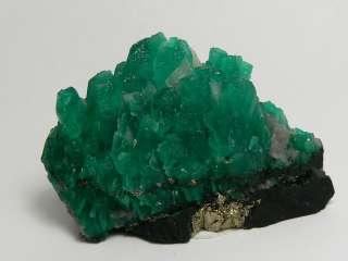 Impeccable Colombian Emerald Crystal Specimen  
