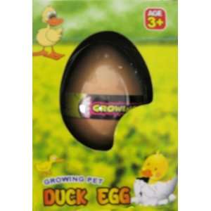  Hatching Duck Egg Toys & Games