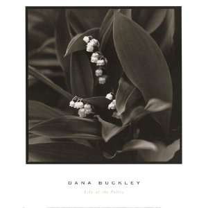  Dana Buckley Lily Of The Valley 13.00 x 16.00 Poster Print 