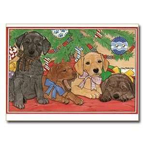  Loveable Labs Gift Enclosure Cards   Set of 5 Health 