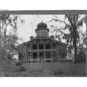  Front view of ornate house,Longwood,Natchez,Adams County 