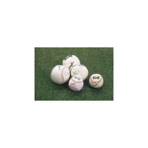  Set of 24   12 Incrediball Softball, Synthetic Sports 