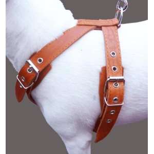  Orange Genuine Leather Dog Harness, Medium. 25 30 Chest 