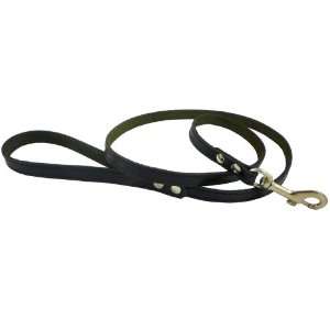   Dog Leash Black 1/2 Wide For Small to Medium Breeds