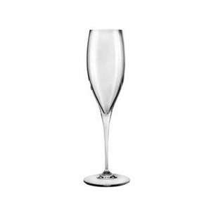   Champagne Glass (07 1418) Category Champagne Glasses Kitchen