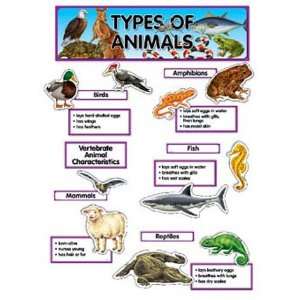  Types Of Animals Mini Bb Set