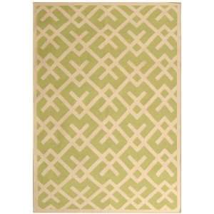  Dhurrie Collection DHU552A Handmade Light Green and Ivory Wool 