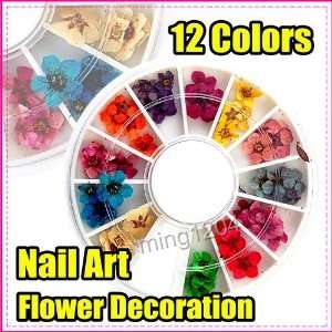  Wheel Dry Flower Nail Art Decorations Acrylic 254 Beauty
