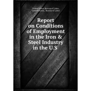 of Employment in the Iron & Steel Industry in the U.S . United States 