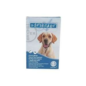  Advantage II for Dogs (Blue), 55+ lbs, 6 month Pet 