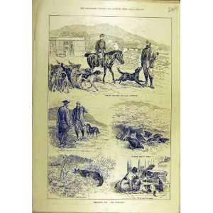   1889 Hunting Season Shooting Game Birds Hounds Print