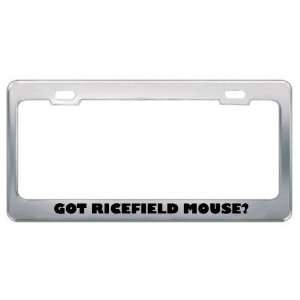 Got Ricefield Mouse? Animals Pets Metal License Plate Frame Holder 